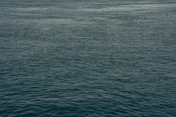 Casino Jackpot Molly Suporte